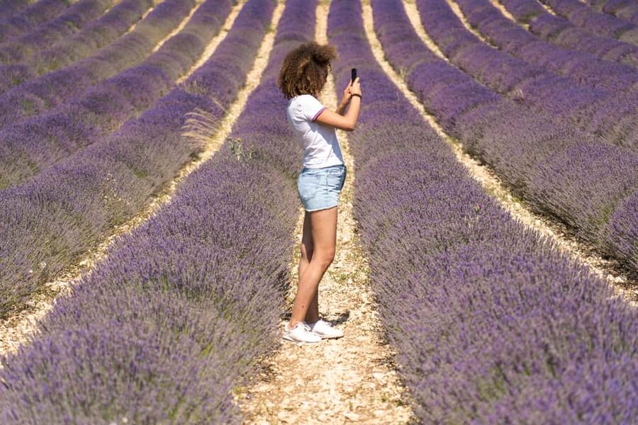 From Aix-en-Provence: Valensole Lavender Full-Day Tour - Moustiers-Sainte-Marie and two hours for lunch