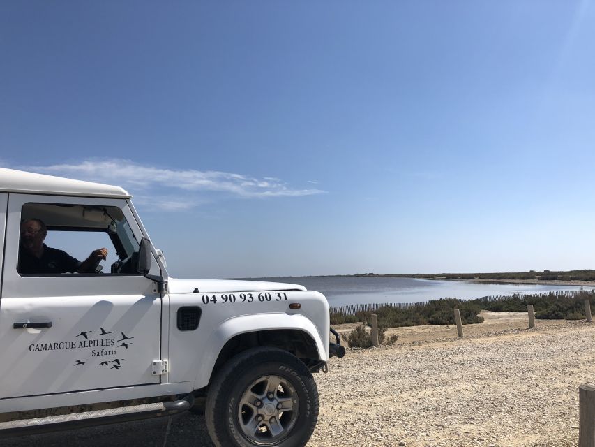 From Arles: Half-Day 4x4 Camargue Safari - Saintes-Maries-de-la-Mer: a useful change of pace