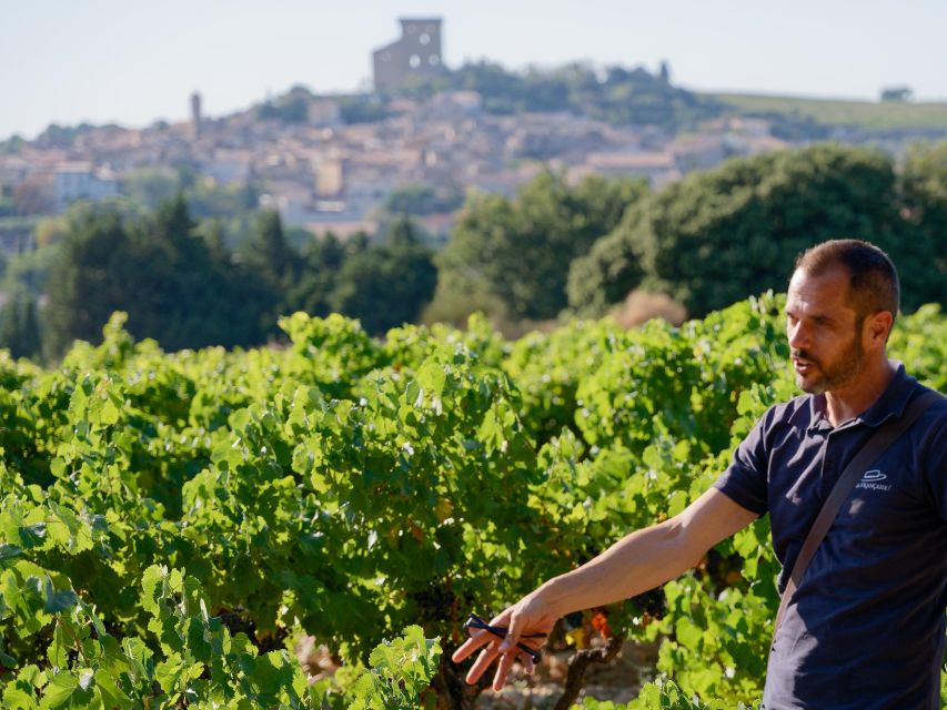 From Avignon: Châteauneuf du Pape Half-Day Wine Tour - The second cellar puts the day in perspective