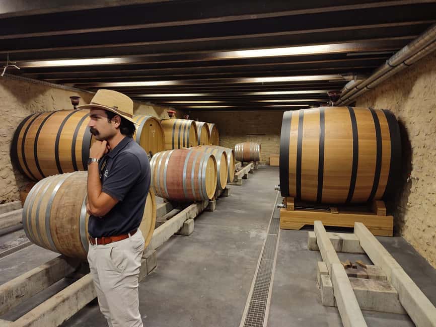 From Avignon: Châteauneuf du Pape Half-Day Wine Tour - Is $112 a good value?