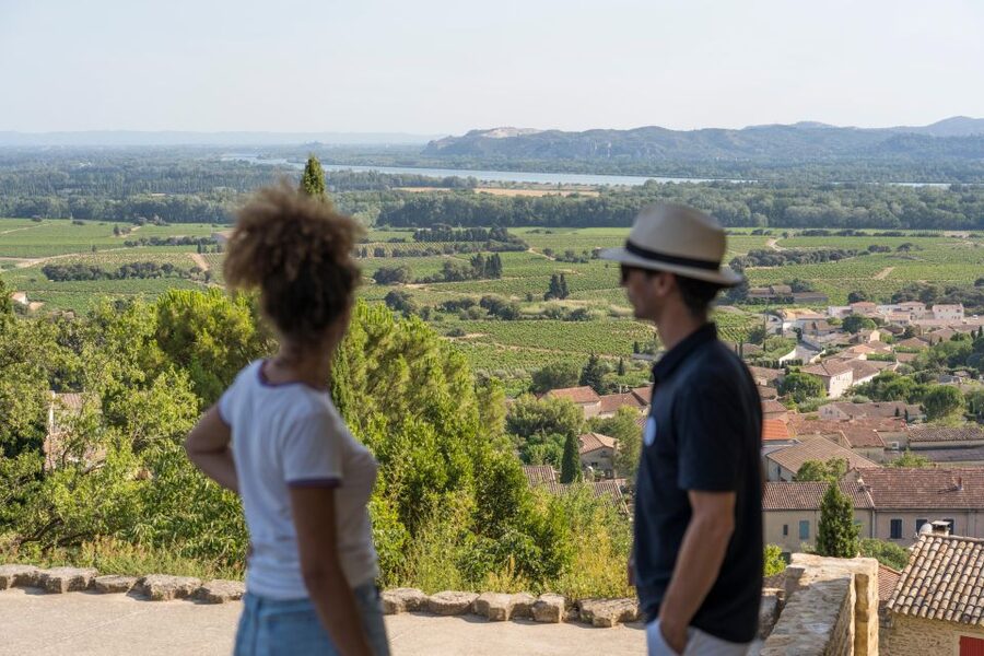 From Avignon: Châteauneuf du Pape Half-Day Wine Tour - The first Châteauneuf-du-Pape cellar