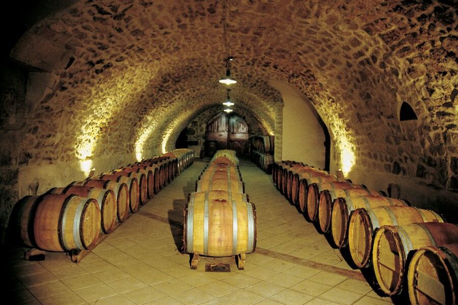 From Avignon: Half-Day Great Vineyards Tour - Who should book this tour?