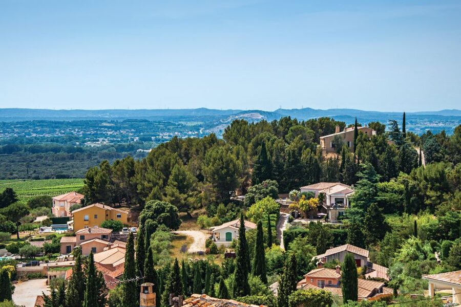 From Avignon: Half-Day Great Vineyards Tour - Should you book the Great Vineyards tour?