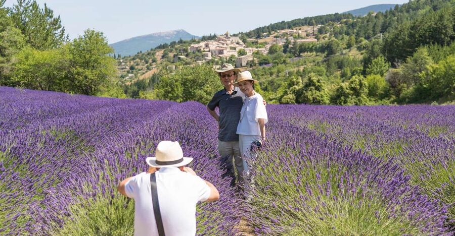 From Avignon: Half-Day Lavender Tour of Luberon - Key points at a glance