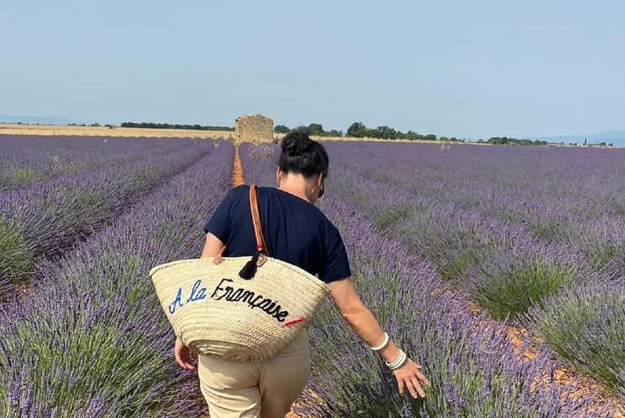 From Avignon: Half Day Lavender Tour to Sault - Why this half-day trip works from Avignon