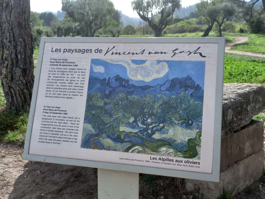 From Avignon: In the Footsteps of Van Gogh in Provence - Should you book it?