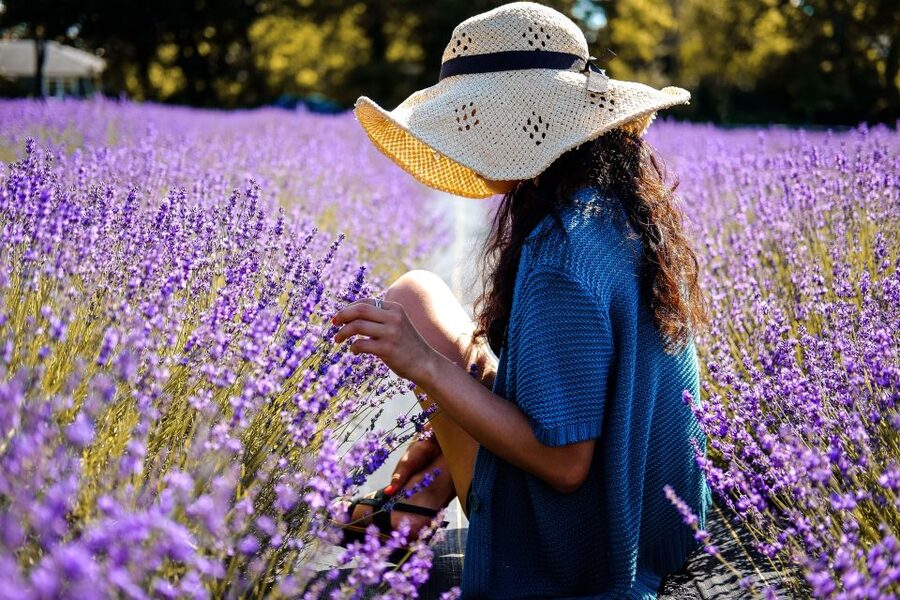 From Avignon: Lavender Fields & Luberon Village Guided Tour - Who should book this Avignon excursion?