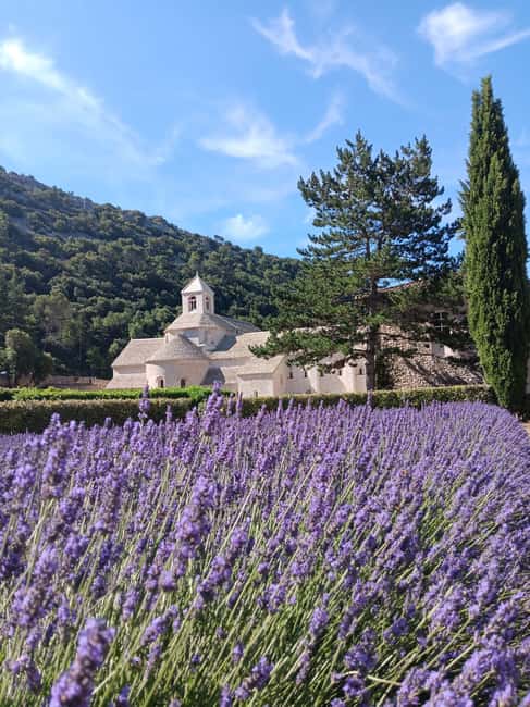 From Avignon: Lavender Villages Full-Day Tour - Key Points Before You Book