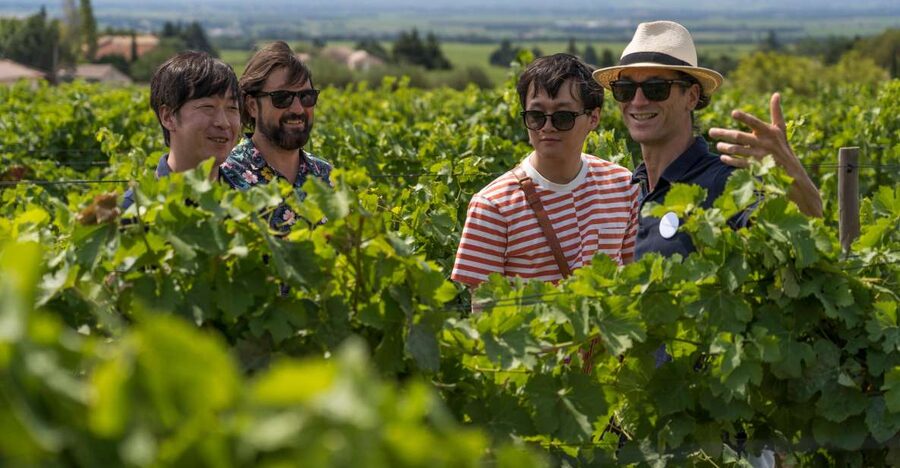 From Avignon: Luberon and Chateauneuf-du-Pape Full-Day Tour - Key points to know before booking
