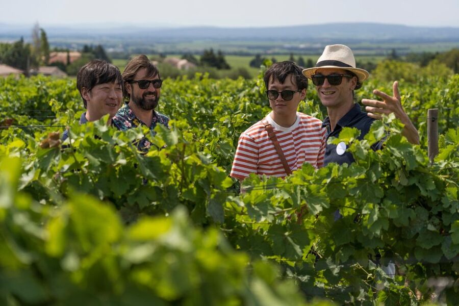 From Avignon: Luberon and Chateauneuf-du-Pape Full-Day Tour - Roussillon and the red cliffs of Provence