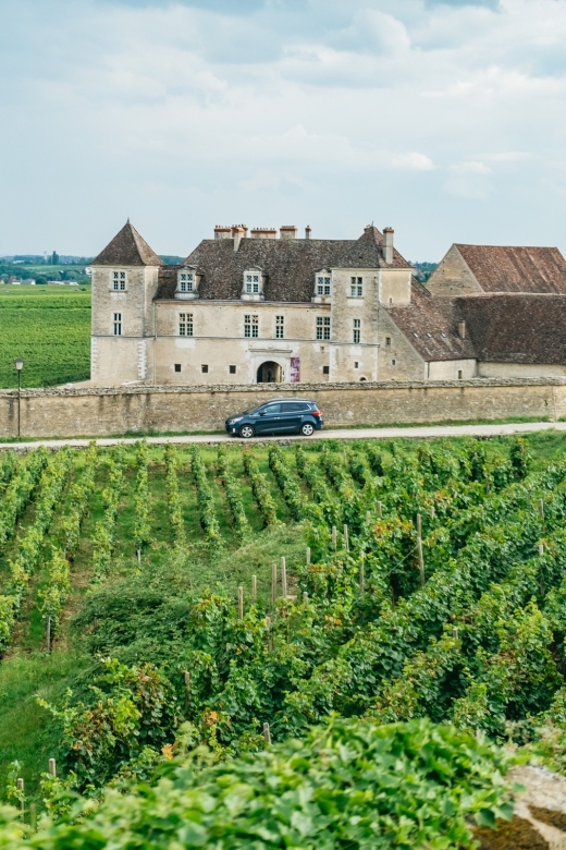 From Beaune: Burgundy Day Trip with 14 Wine Tastings - Key points at a glance