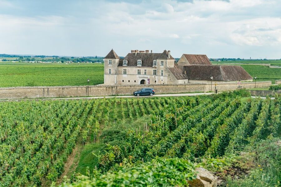 From Beaune: Burgundy Day Trip with 14 Wine Tastings - The first tasting near Beaune