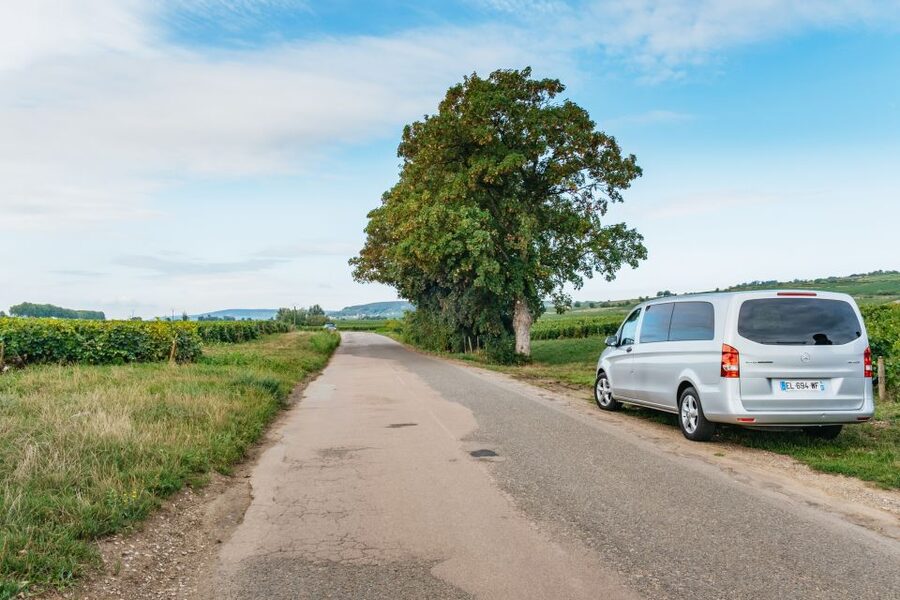 From Beaune: Burgundy Day Trip with 14 Wine Tastings - Clos de Vougeot and the Route des Grands Crus