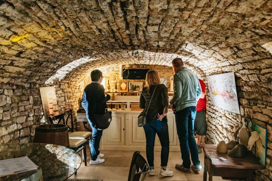From Beaune: Burgundy Day Trip with 14 Wine Tastings - A cellar visit in Nuits-Saint-Georges
