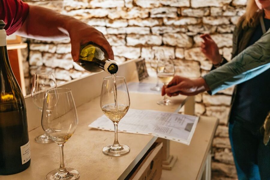 From Beaune: Burgundy Day Trip with 14 Wine Tastings - Leaving Beaune in an eight-seat minivan
