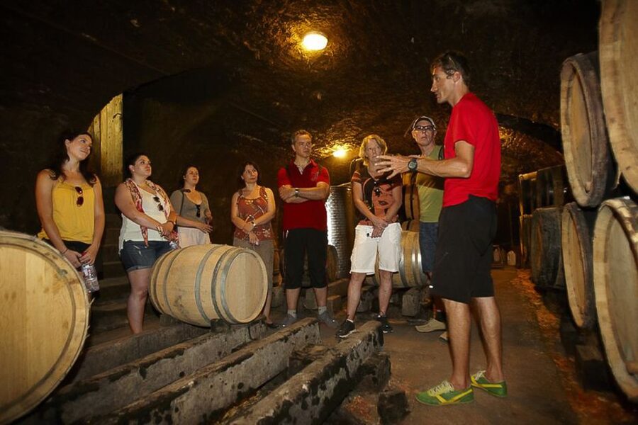 From Beaune: Full-Day Bicycle and Wine Tour in Burgundy - The 15-minute transfer and first look at the vineyards