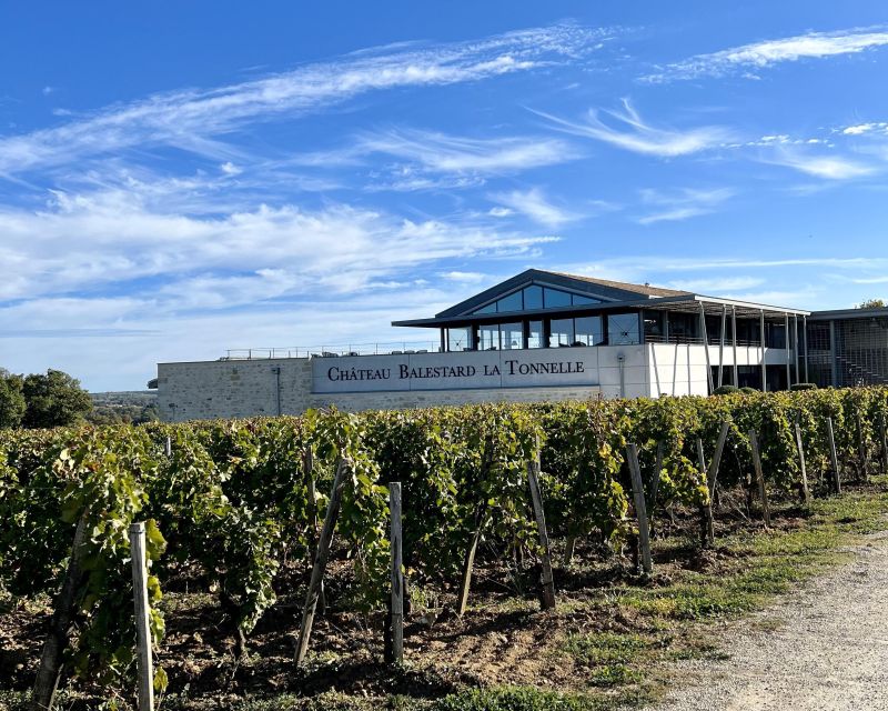 From Bordeaux: Afternoon Saint-Emilion Wine Tasting & snack - Bread, Cheese, Cured Meat, and Chocolate