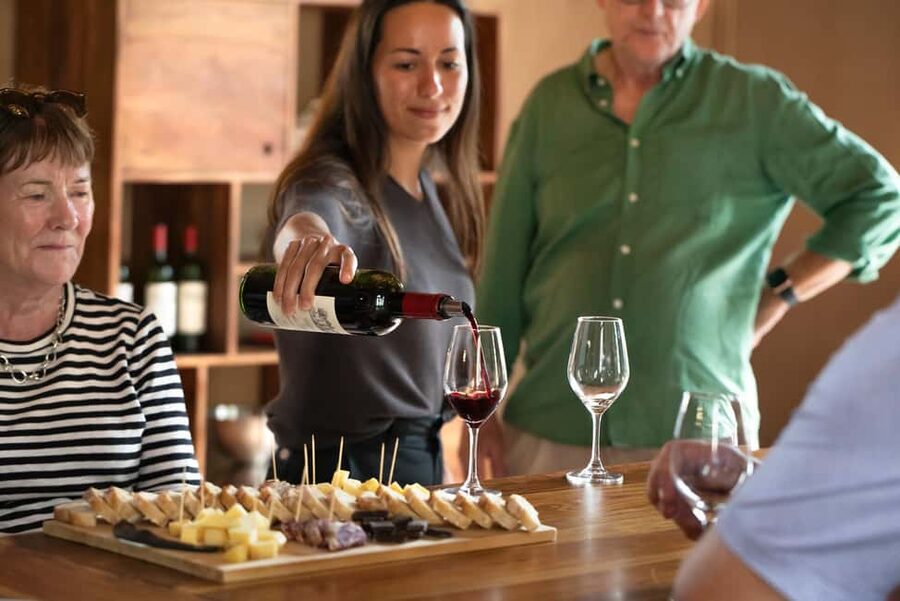 From Bordeaux: Afternoon Saint-Emilion Wine Tasting & snack - The 50-Minute Ride Back to Bordeaux