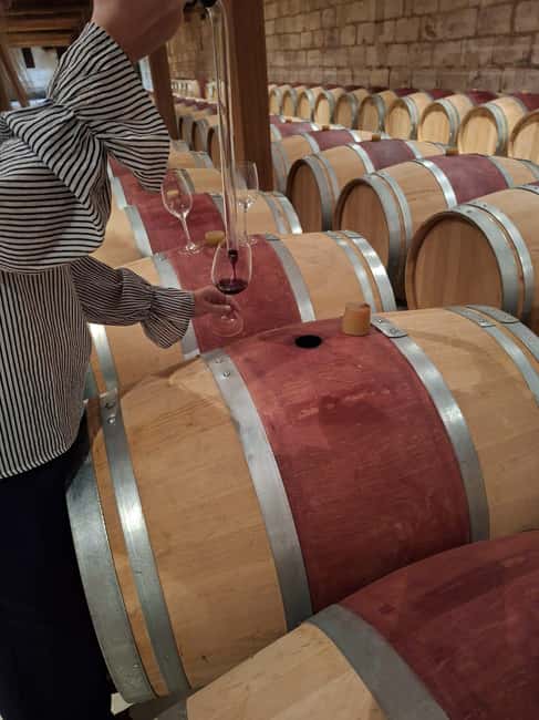From Bordeaux: Afternoon Wine Tasting in the Medoc Region - The essential points at a glance