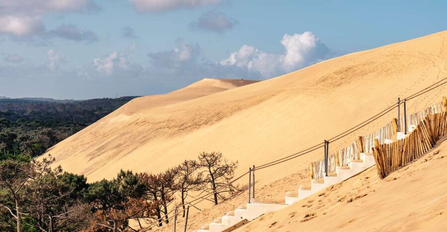 From Bordeaux: Arcachon Bay Full Day Tour and Oyster Lunch - Key Points Before You Book