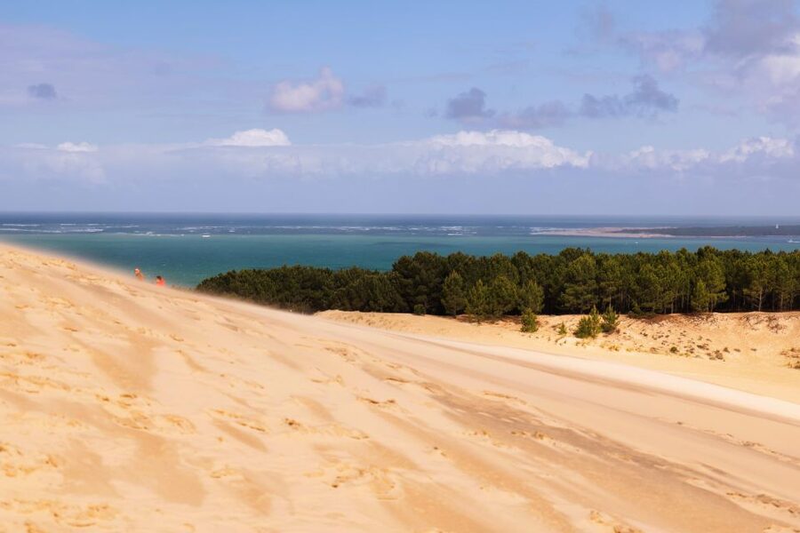 From Bordeaux: Arcachon Bay Full Day Tour and Oyster Lunch - Why Arcachon Bay Makes a Fine Escape from Bordeaux