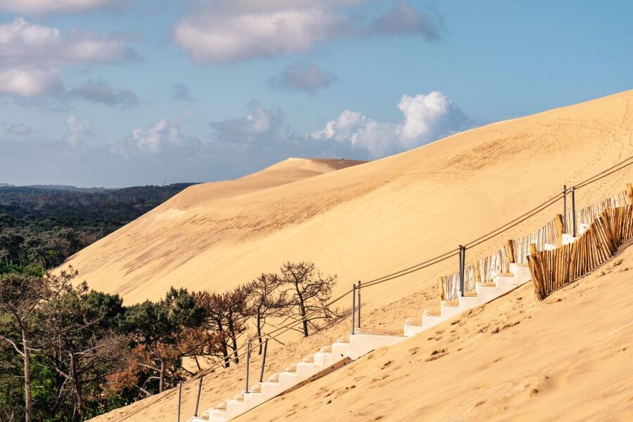 From Bordeaux: Arcachon Bay Full Day Tour and Oyster Lunch - Climbing the Dune du Pilat at Pyla-sur-Mer