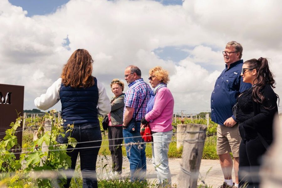From Bordeaux: Essential Morning Tour with Wine Tasting - Meeting at the Monument aux Girondins