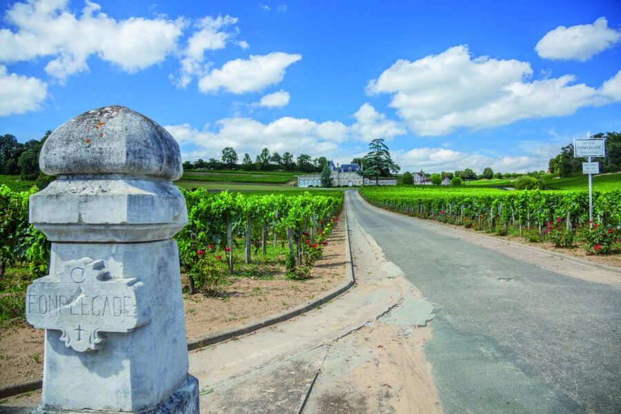 From Bordeaux: Full-Day St Emilion Wine Tasting Tour - Key points to know before booking