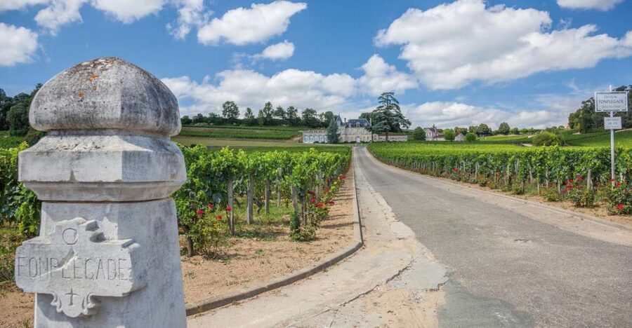 From Bordeaux: Full-Day St Emilion Wine Tasting Tour - The 45-minute ride from central Bordeaux