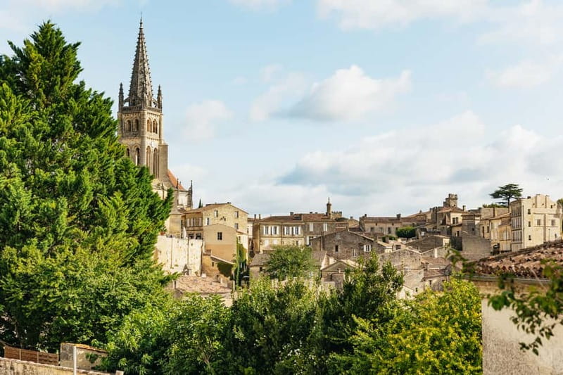 From Bordeaux: Half-Day Saint-Émilion Tour and Wine Tasting - Inside the château and vineyard