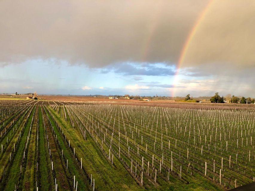 From Bordeaux: Half-Day Saint-Emilion Wine Tour - Inside the château: 70 minutes of wine and family history