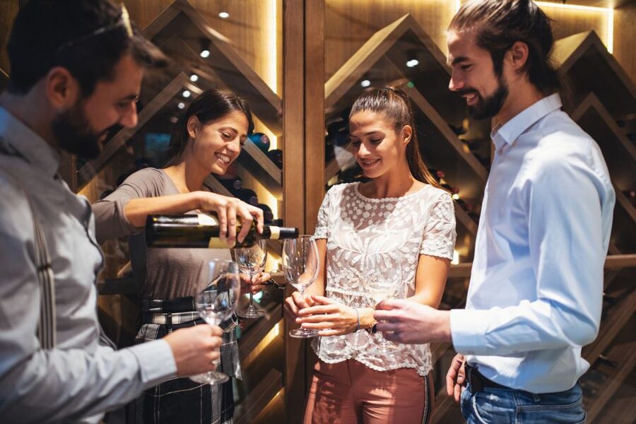 From Bordeaux: Medoc Half-Day Wine Tour - Leaving Bordeaux in a group of eight or fewer