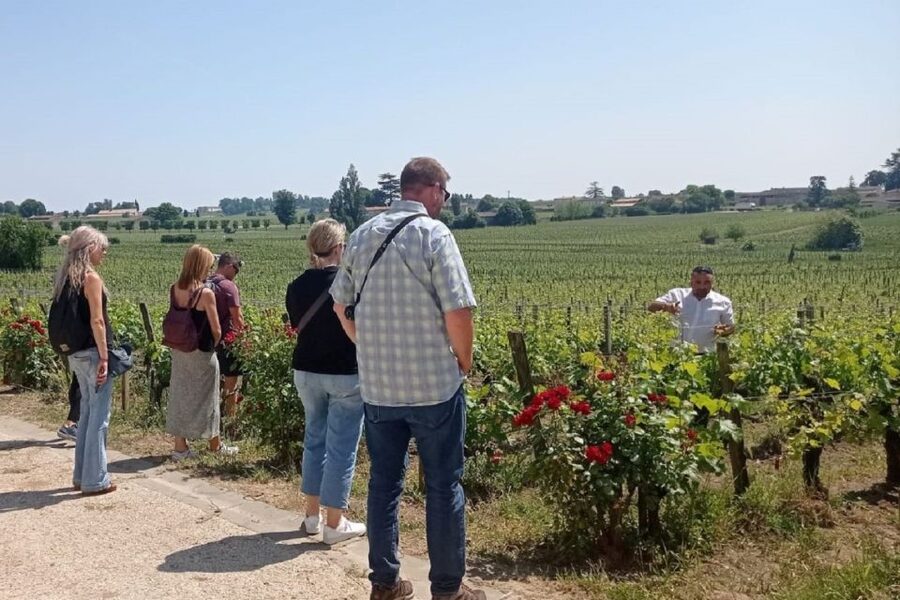 From Bordeaux: Saint-Emilion Guided Wine Tasting Tour - The family winery: wine with cheese and local snacks