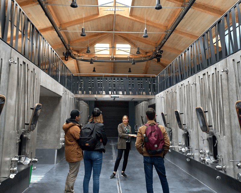 From Bordeaux: Saint-Émilion Half-Day Tour with Wine Tasting - Why this Saint-Émilion trip works so well