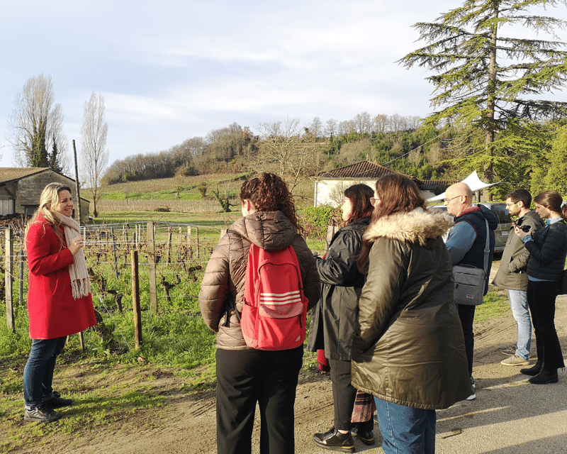 From Bordeaux: Saint-Émilion Half-Day Tour with Wine Tasting - Inside the organic family winery