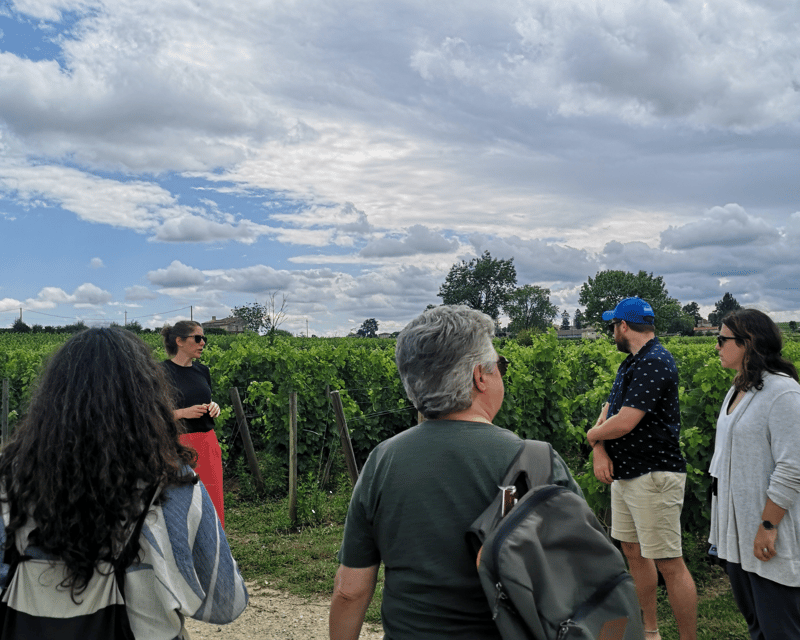From Bordeaux: Saint-Émilion Half-Day Tour with Wine Tasting - The 50-minute ride from Bordeaux