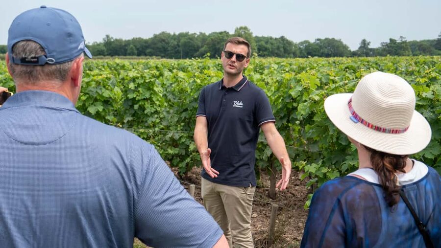 From Bordeaux: St-Emilion Day Tour with Tastings and Lunch - Third château: finishing with three more wines