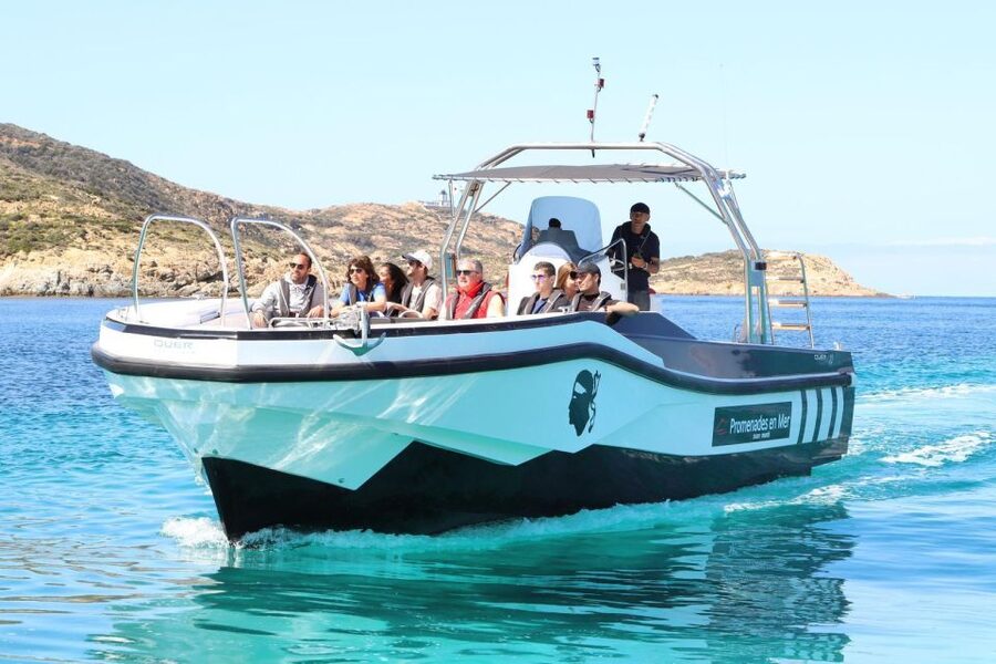 From Calvi: 2-Hour Sunset Cruise to Revellata Peninsula - The sea conditions deserve honest attention