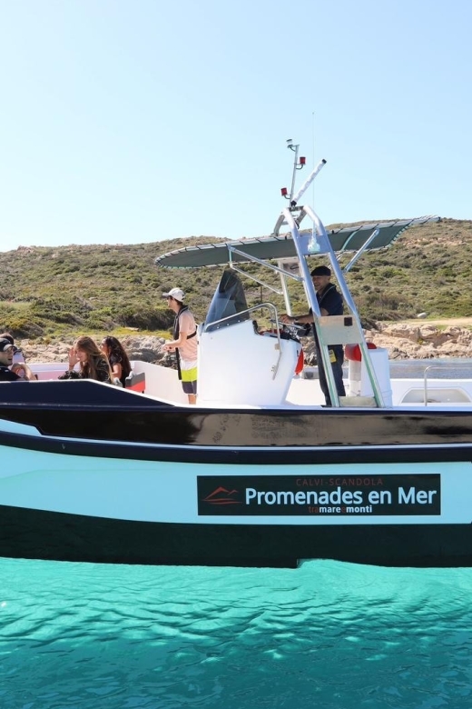 From Calvi: 2-Hour Sunset Cruise to Revellata Peninsula - History and scenery on the way to Revellata