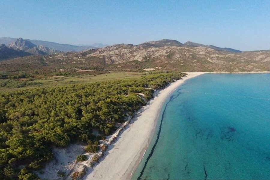 From Calvi: 4x4 Day Tour Mountain & Agriates' Saleccia Beach - Key points to know before you book
