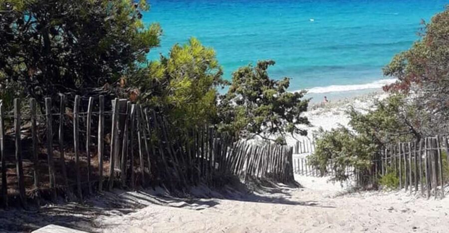 From Calvi: 4x4 Day Tour Mountain & Agriates' Saleccia Beach - Practical packing advice for the nine-hour route