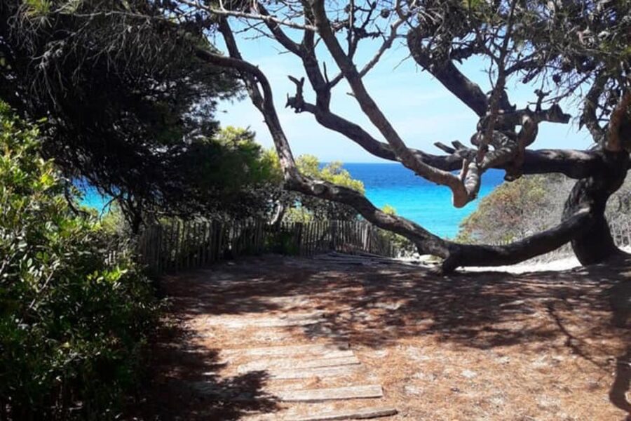 From Calvi: 4x4 Day Tour Mountain & Agriates' Saleccia Beach - Reaching Saleccia Beach in the Agriates area
