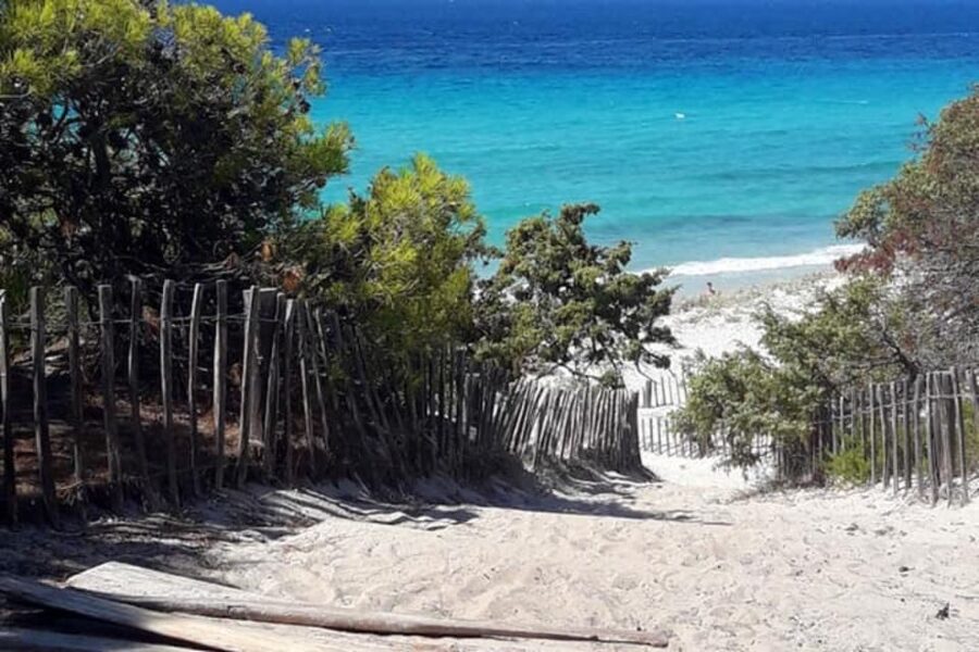 From Calvi: 4x4 Day Tour Mountain & Agriates' Saleccia Beach - Is $123 a fair price?