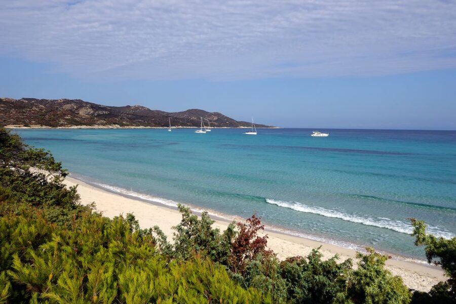 From Calvi: Agriate Guided Jeep Tour to Lotu and Saleccia - Crossing the Agriate by Four-Wheel Drive