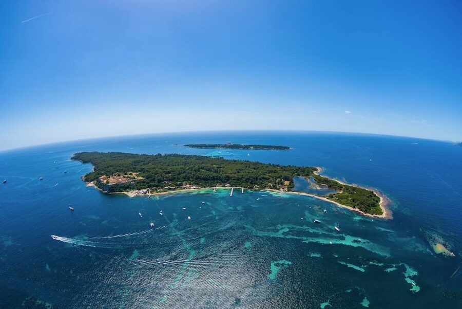 From Cannes: Round-Trip Ferry to Ste. Marguerite Island - Batéguier Pond and the island’s birdlife