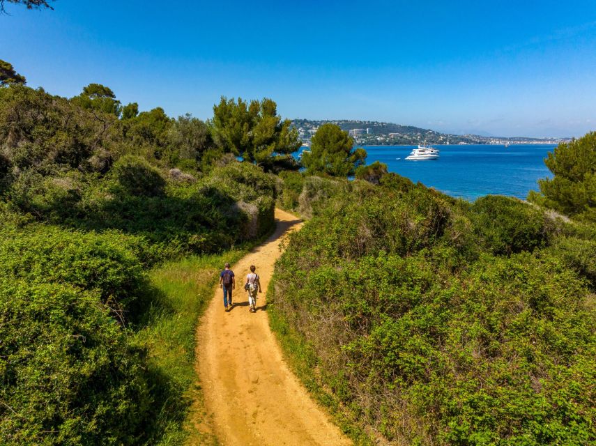 From Cannes: Round-Trip Ferry to Ste. Marguerite Island - Swimming, coves, and the underwater eco museum
