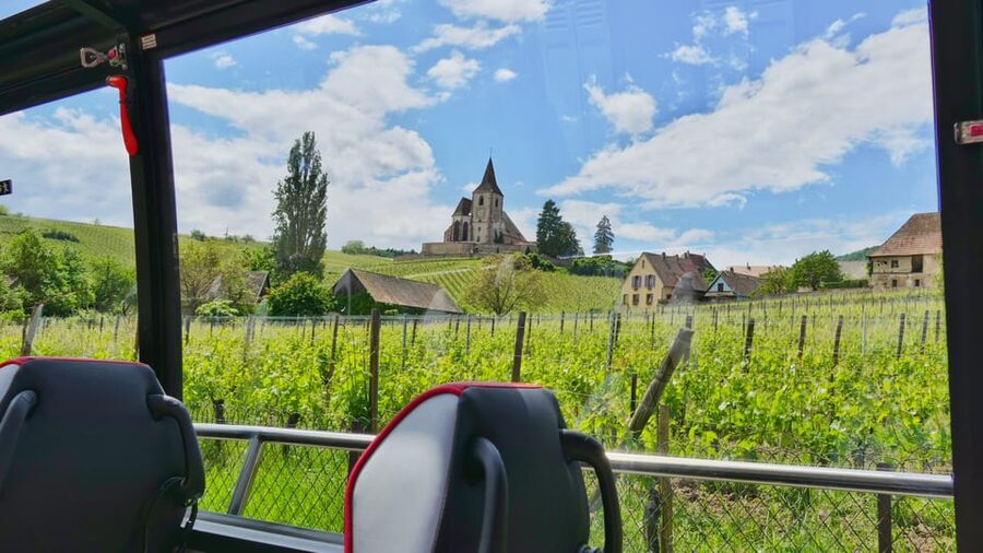 From Colmar: Alsace Medieval and Wine Tasting Day Tour - Riquewihr: the longest village stop