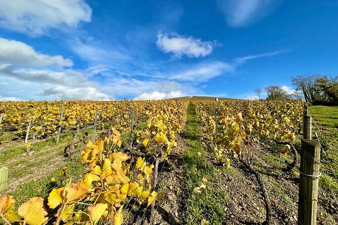 From Epernay: Champagne Small-Group tour with tastings & Lunch - Starting at Épernay’s Avenue of Champagne