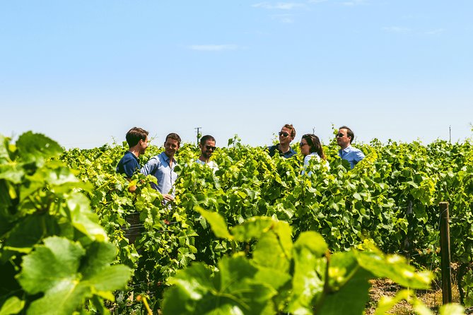 From Epernay: Champagne Small-Group tour with tastings & Lunch - Lunch and a Champagne lesson in Aÿ-Champagne