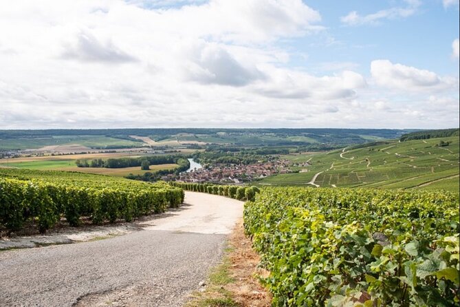 From Epernay: Champagne Small-Group tour with tastings & Lunch - Who should book this Champagne experience